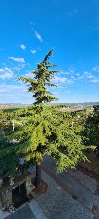 Apartment Sunny View Ankaran Εξωτερικό φωτογραφία